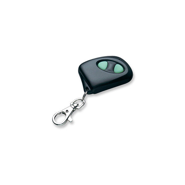 Remote controller keyfob P-2
