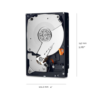 Western Digital Gold HDD - Image 5