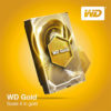 Kõvakettad-videovalvele,-Western-Digital-Gold